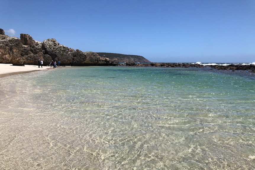 Stokes Bay on Kangaroo Island is renowned for its pristine conditions.