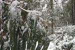 Snow reported in Adelaide Hills (file photo)