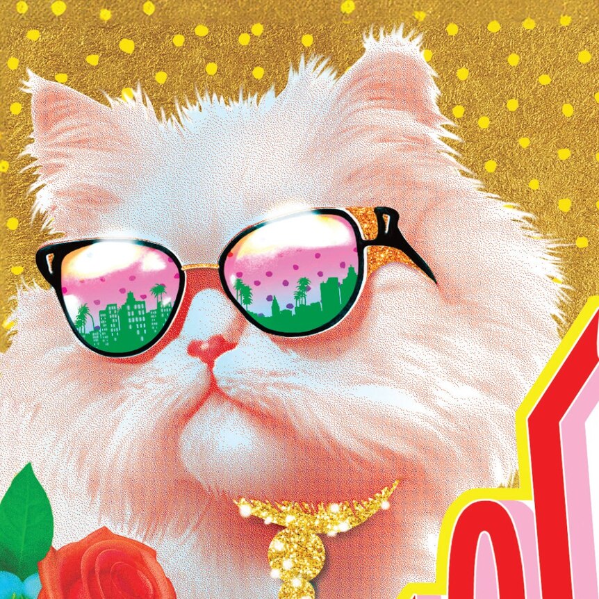 Pink cat with sunglasses looking self satisfied