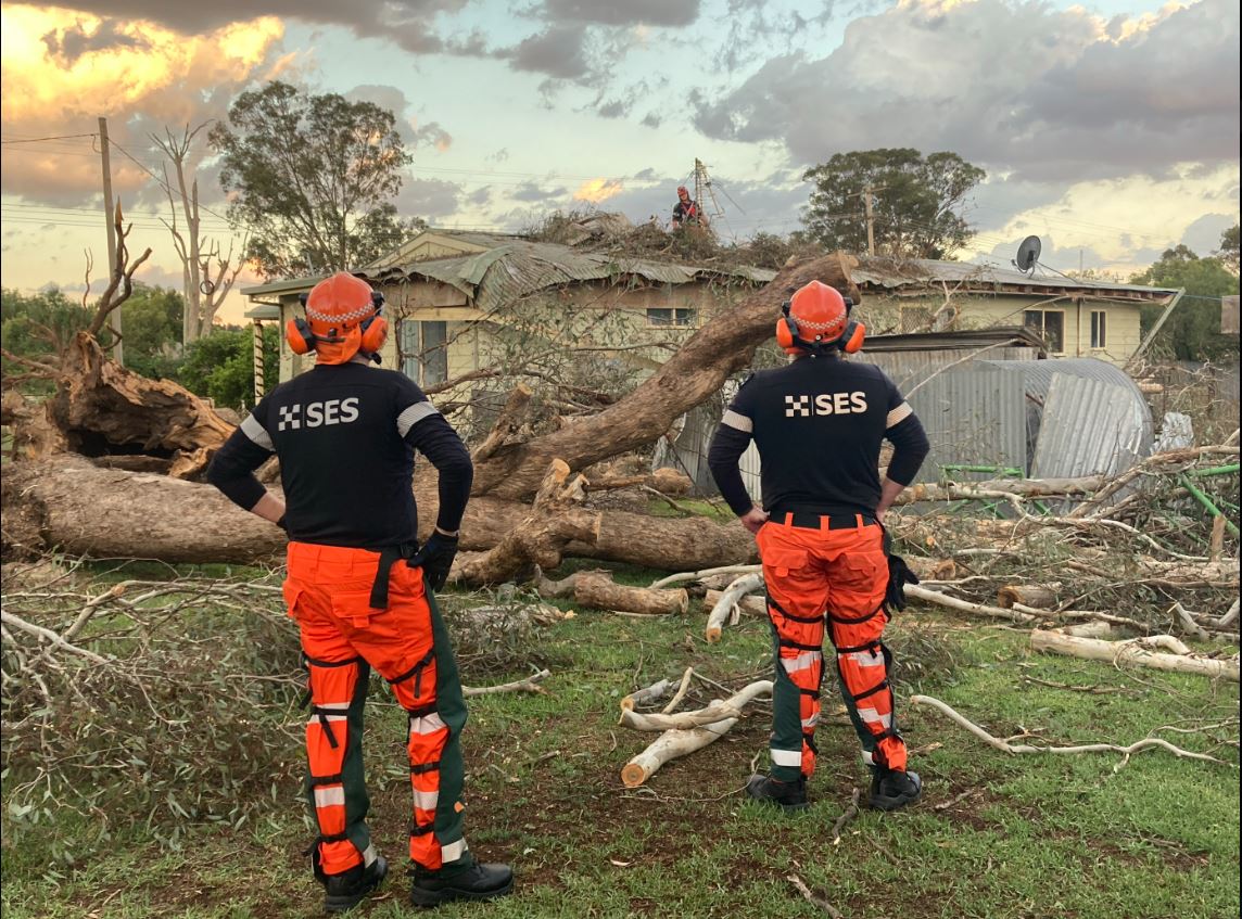 Dos voluntarios de SES, de espaldas a la cámara, examinan los árboles caídos y una casa dañada.