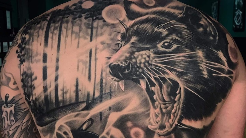Tatoo of Tassie Devil in a forest with black and white ink.