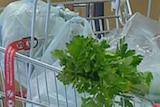 A supermarket shopping trolley filled with plastic bags