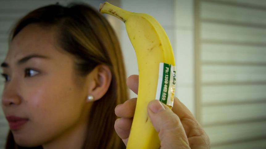 A banana in the foreground of the photo and the profile of audiologist Frances Aglipay.