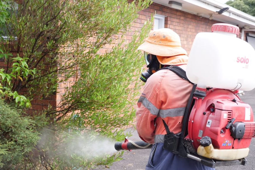 A man in hi-vis spraying foliage