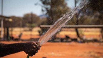 A hand holds a hose spraying water in the desert.