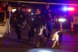 Police dogs and their handlers deploy at the scene of an explosion in southwest Austin.