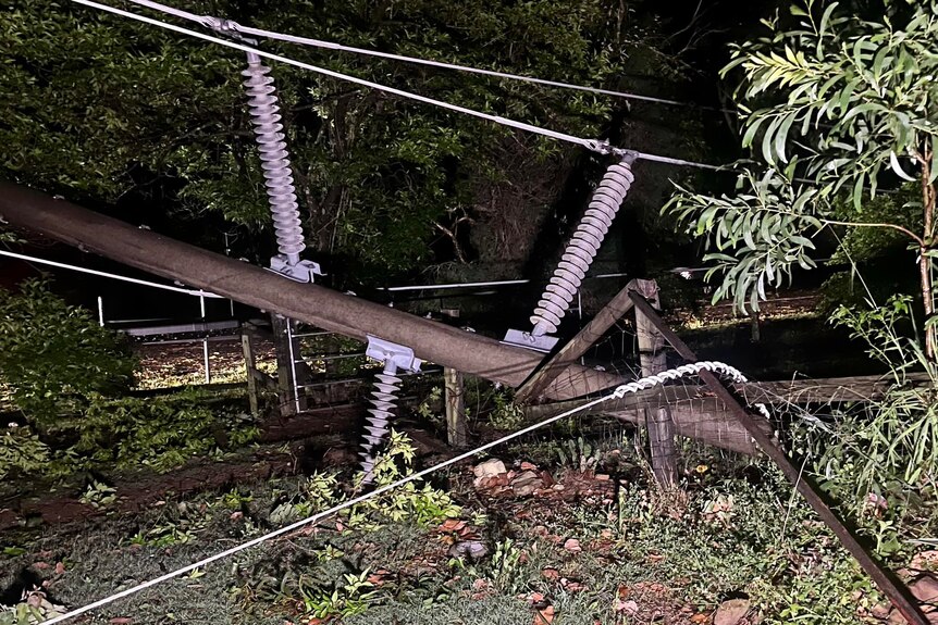 A snapped pole on the ground among branches 