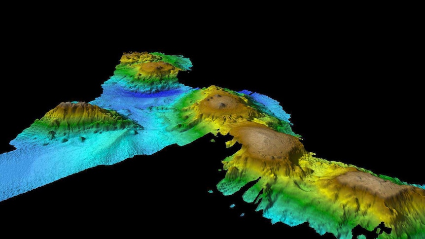 graphic image showing seamounts off the Tasmanian coastline