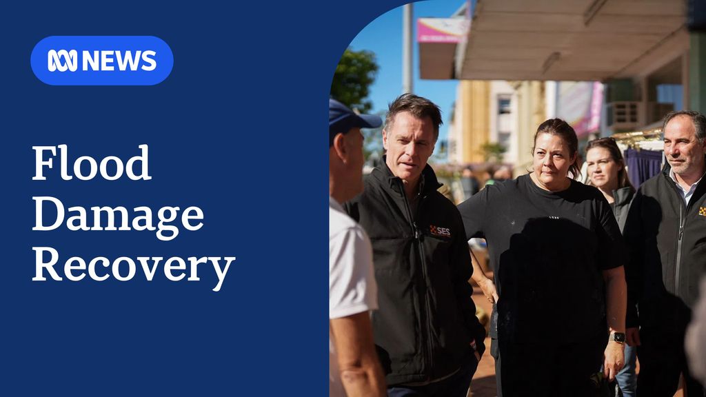 Floods damage at least 10,000 properties on Mid North Coast - ABC News