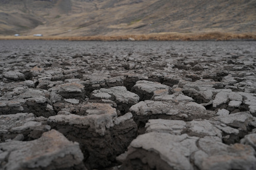 A dried up lake bed.
