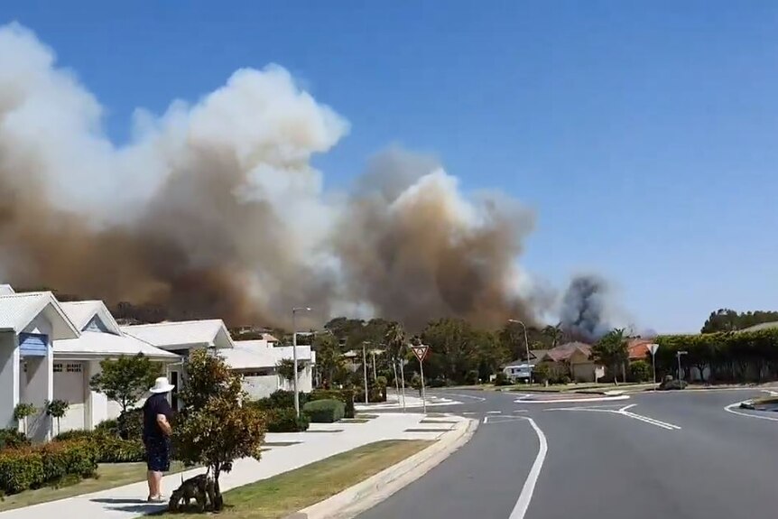Big smoke plumes over houses, a man walking his dog looks on.