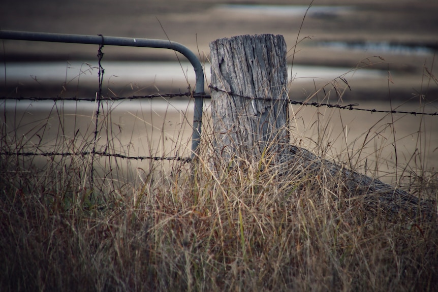 Paddock fence post in Tallangatta.