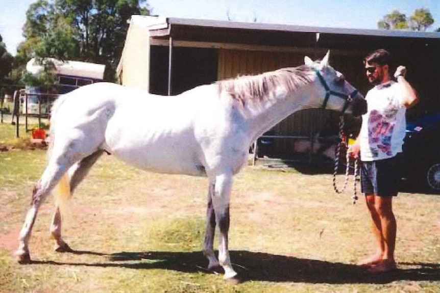 A young Bradley Robert Edwards holds a white horse by its halter.