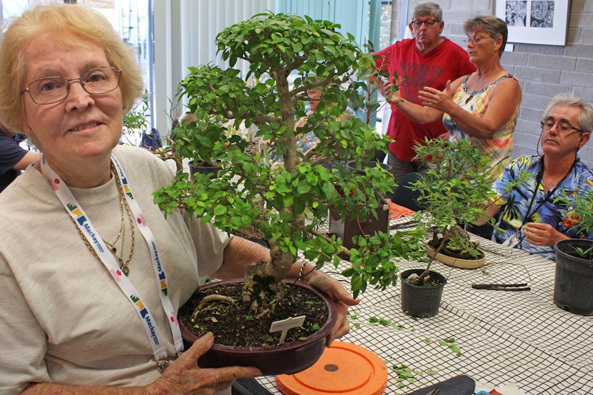 Secretary treasurer of the Mackay Bonsai Society, Helen Batho with her bonsai.