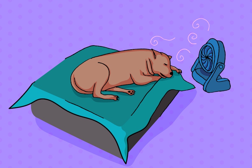 A cartoon drawing of a dog asleep on a dog bed in front of a fan