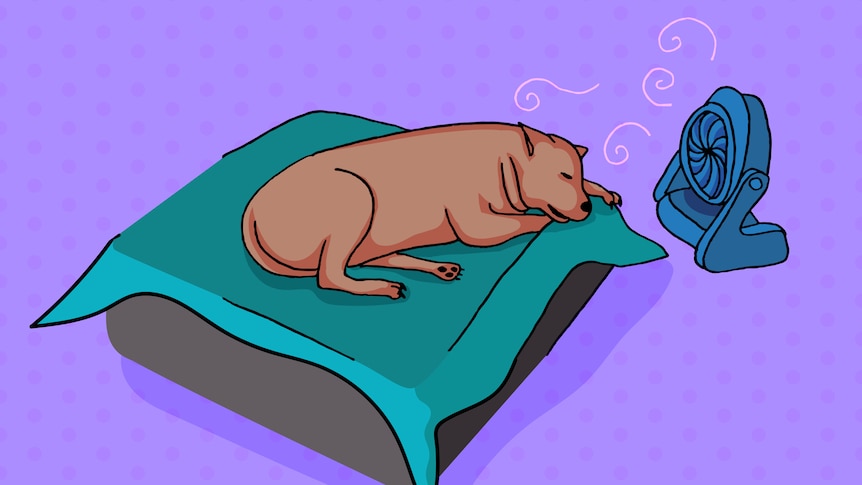 A cartoon drawing of a dog asleep on a dog bed in front of a fan