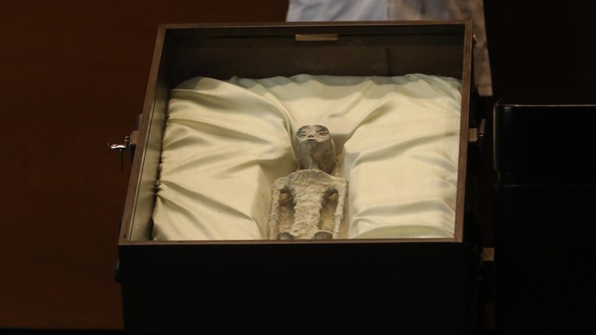 A small, shrivelled humanoid-like figure lying in a wooden box