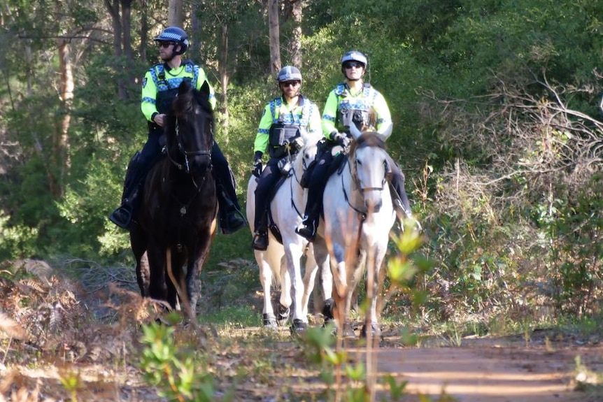 Three police officers riding horses in bushland