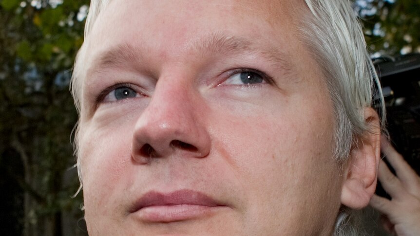 Claim WikiLeaks is illegal 'represents a trial by media'