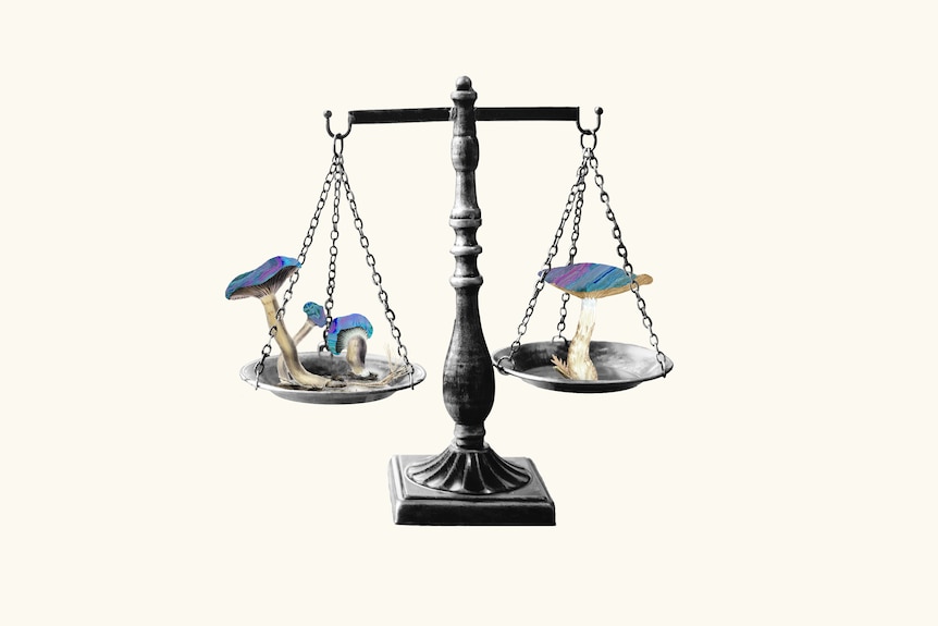 A collage image of a black and white set of balancing scales with multi-coloured mushrooms sitting on each side.