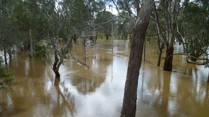 Flooding at Wangaratta in Victoria's north-east