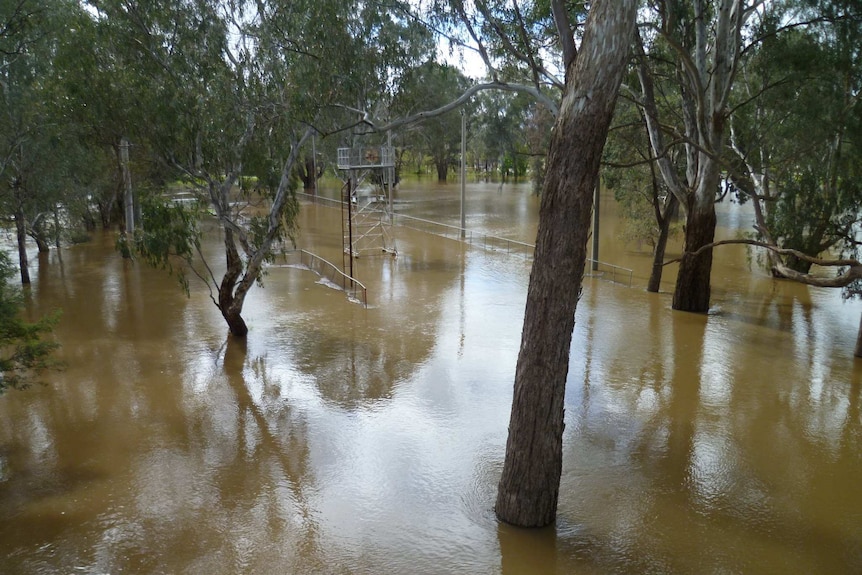 Flooding at Wangaratta in Victoria's north-east