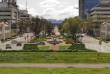 A main street lined with trees and greenery.