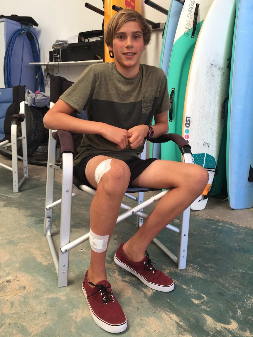 Shark bite victim recovering