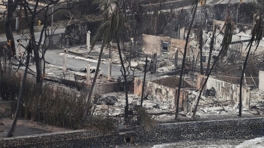 Only fences or retaining walls stand among the blocks of charred rubble. 