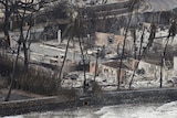 Only fences or retaining walls stand among the blocks of charred rubble. 