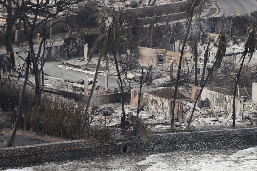 Only fences or retaining walls stand among the blocks of charred rubble. 