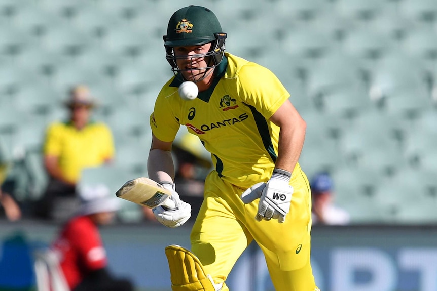 Travis runs between the wickets during the fourth one-day international between Australia and England in Adelaide.