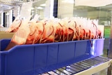 Blood donations in bags ready to be dispatched to hospitals from the Brisbane processing centre