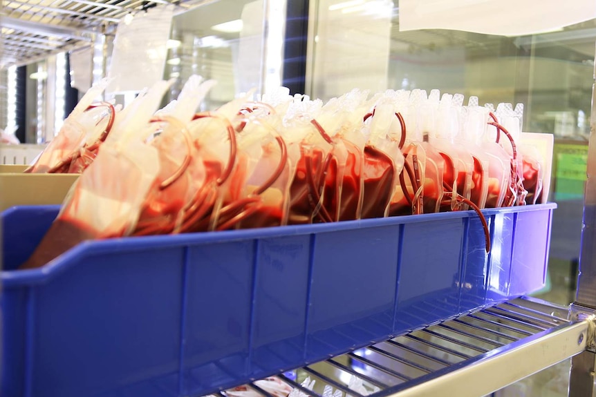 Blood donations in bags ready to be dispatched to hospitals from the Brisbane processing centre