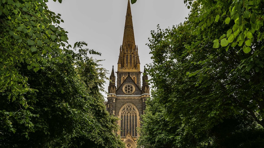 The facade of St Patrick's Cathedral at the end of a tree-lined footpath.