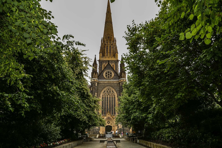 The facade of St Patrick's Cathedral at the end of a tree-lined footpath.