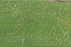 Aerial view of the Tiger Maze