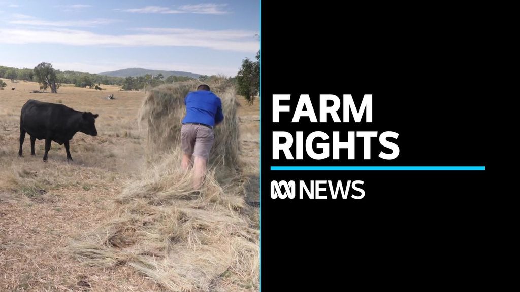 Farmer fears over rights to farm their own land - ABC News