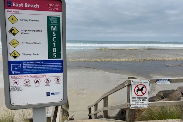 Discoloured water at a beach.