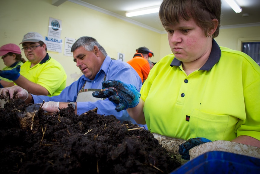 Workers wearing high visibility tops sit at benches to pick worms from piles of compost.