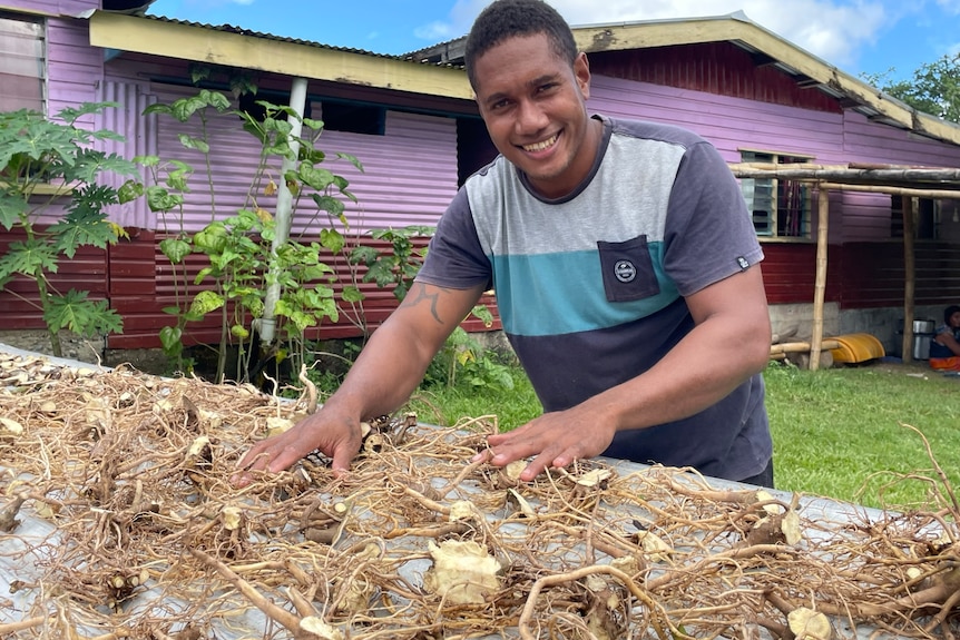 Image of a man touching rooted plants on a table.