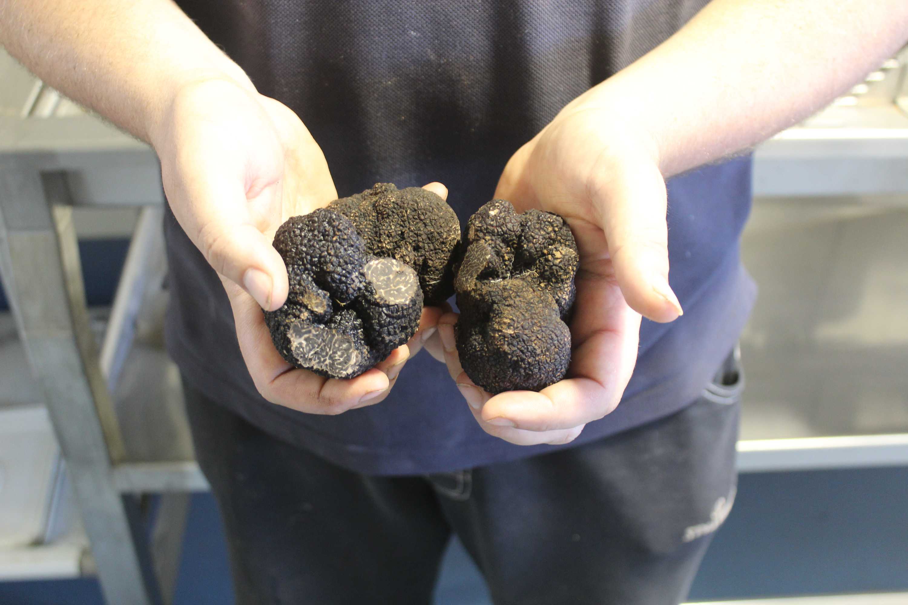 Television time see truffles trending ABC News