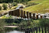 A photo of rows of upright logs in a bare river paddock in 2019 compared to the same logs surrounded by plants in 2022.