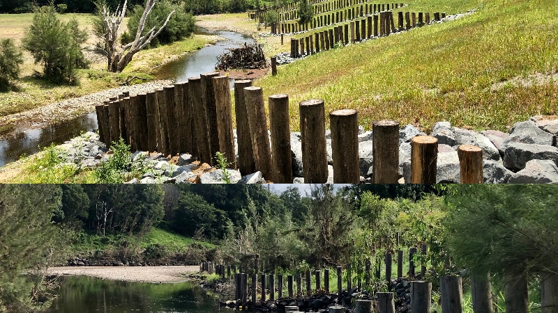 How a degraded river was restored so well it has shrugged off three floods this year