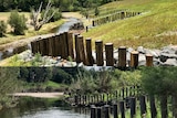 A photo of rows of upright logs in a bare river paddock in 2019 compared to the same logs surrounded by plants in 2022.