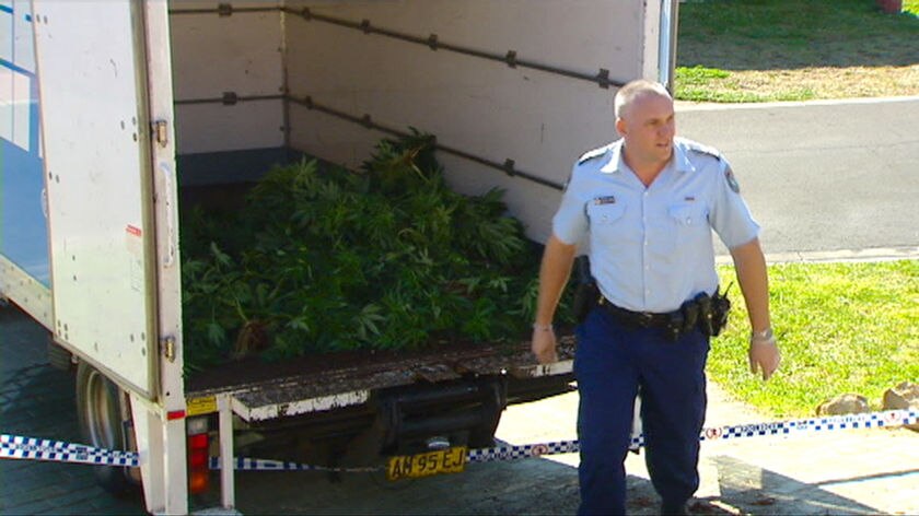 Huge haul ... Police in Blair Athol today.