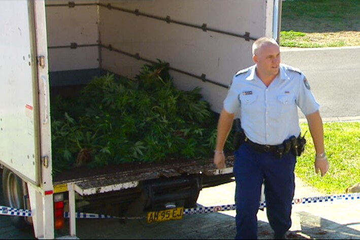 Police have cracked down on a highly-organised cannabis operation in Sydney's Blair Athol.
