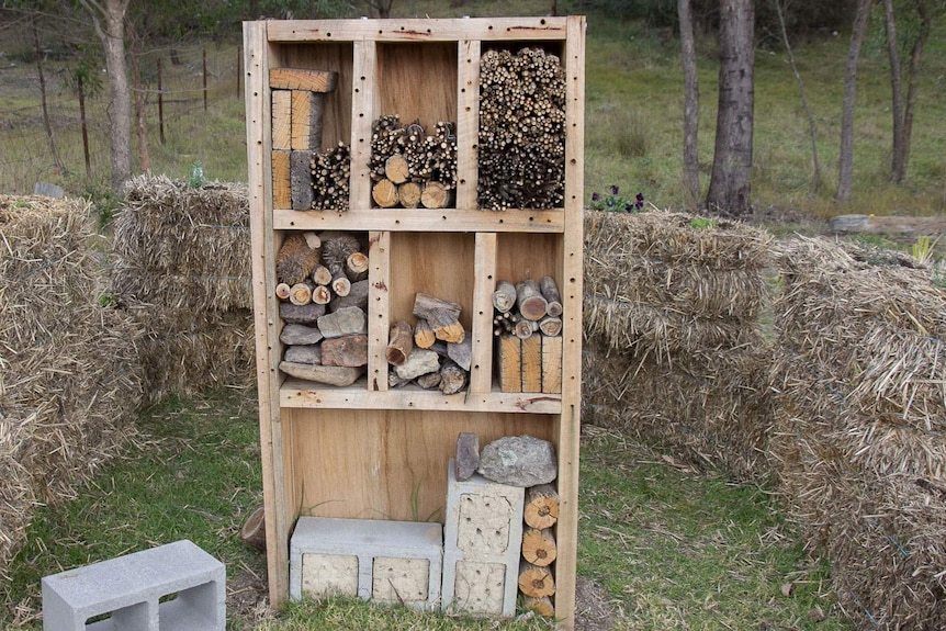 A 'bee hotel' consisting of wooden compartments, stuffed with sticks, clay filled besser blocks and bundles of plant material