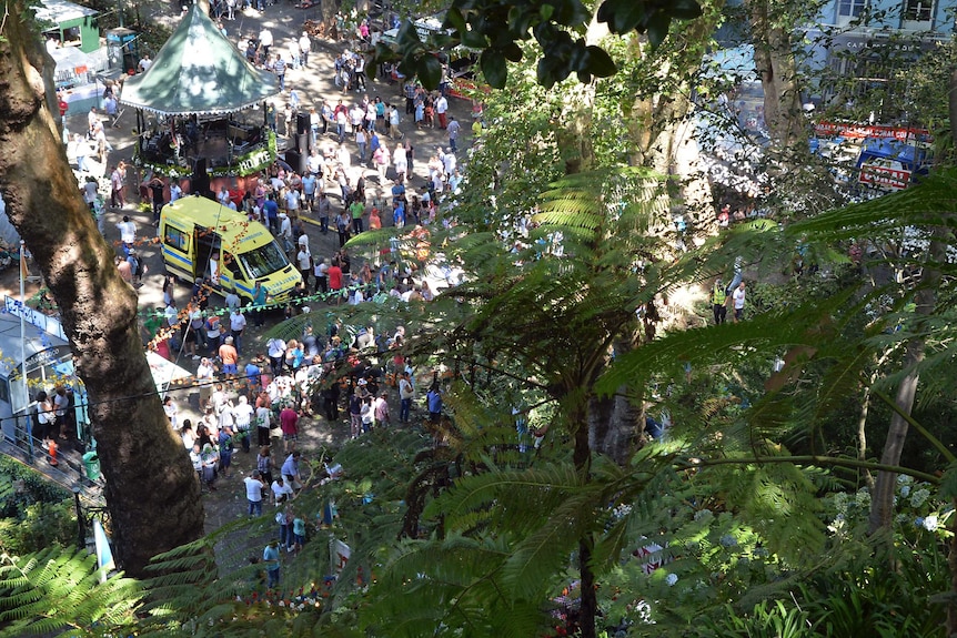 Festival-goers loiter at the scene as workers tend to victims after a tree fell