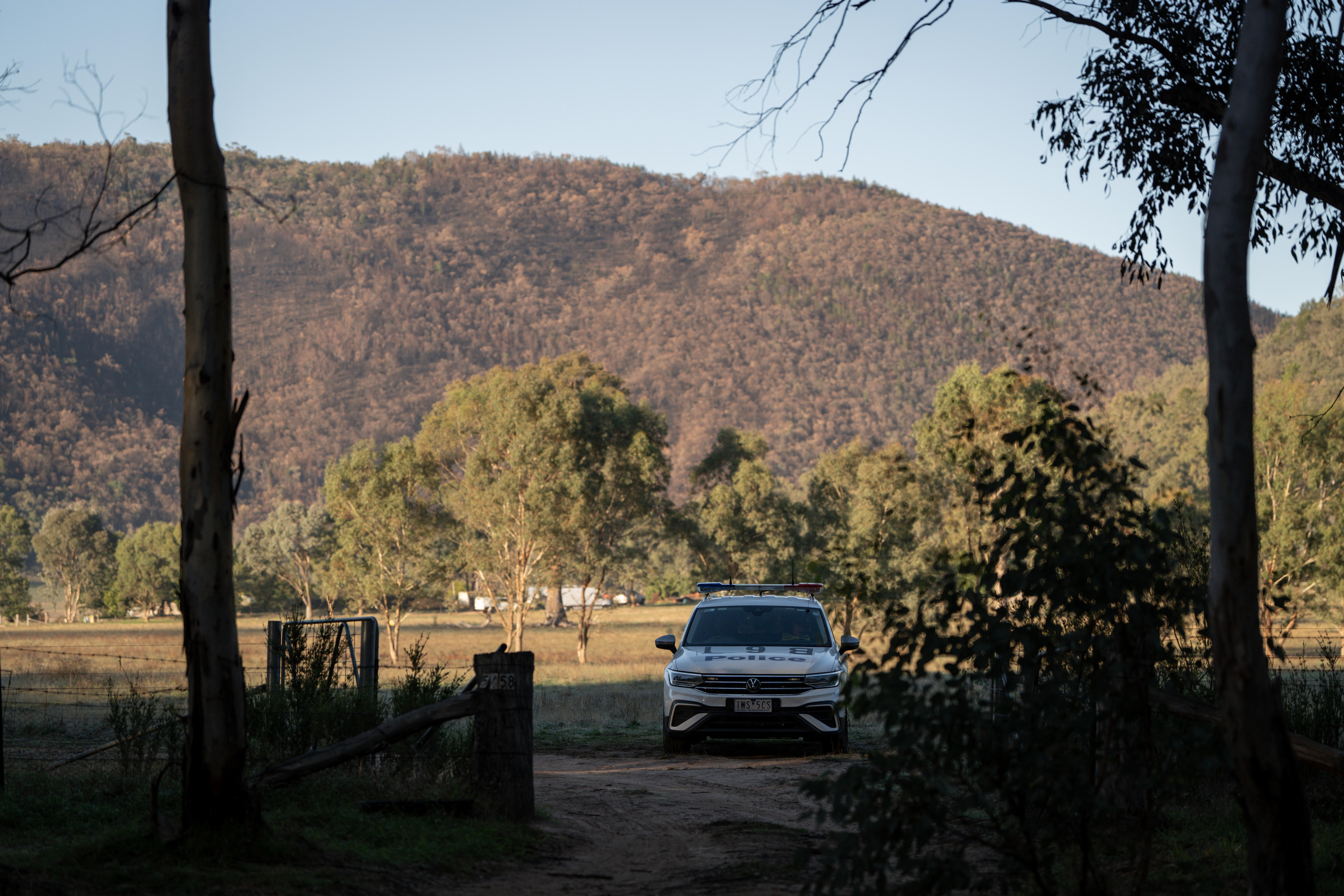 The hills of Mount Lawson National Park loom behind the property. (ABC News: Maren Preuss)